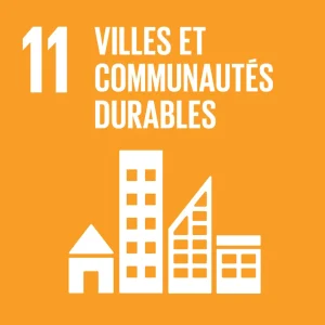 objectif de développement durable 11